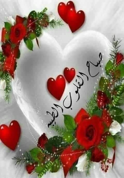 يا عود ريحان غضيض اللياني
غضيض عوده في البساتين يسقى
سهم المحبه بالمحبه رماني
يا قلبي اتصبر على ما تلقى
والله ياحلو النباء لو تراني
اجيب ماجبت على الغصن وارقى
حبك ملك روحي وحطم كياني   
ايضا ولا زال يصعد ويرقى

     عيسى الاحسائي
    #منتصف_الليل