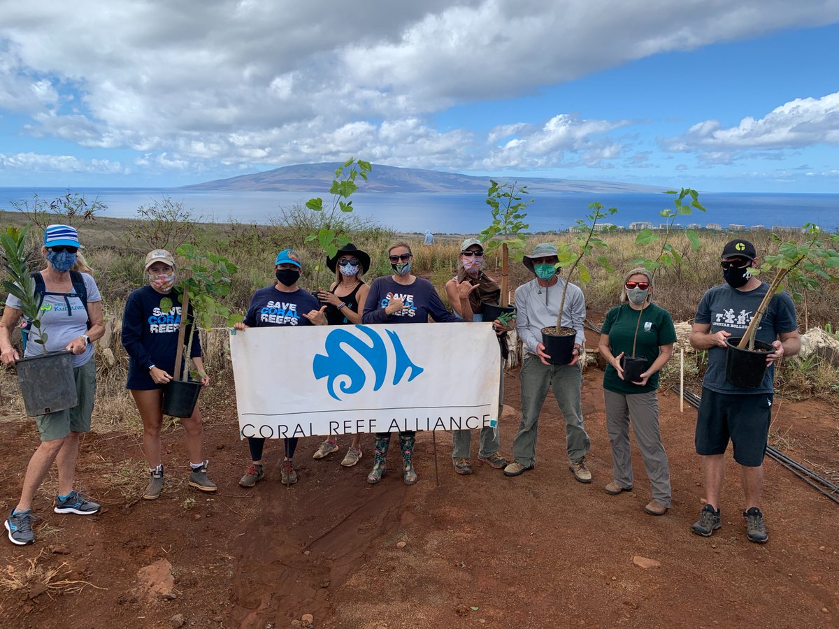 coral_org's tweet photo. A huge mahalo to all of our volunteers on Maui who joined us for the @RetreeHawaii event on Oct. 30, and to @mauinuibg for donating trees! Together, we joined 464 participants across the state to plant more than 4,095 trees.  @HawaiiHTA  #retree #hawaii #hawaiilife #climatechange https://t.co/7ELePLQVXz