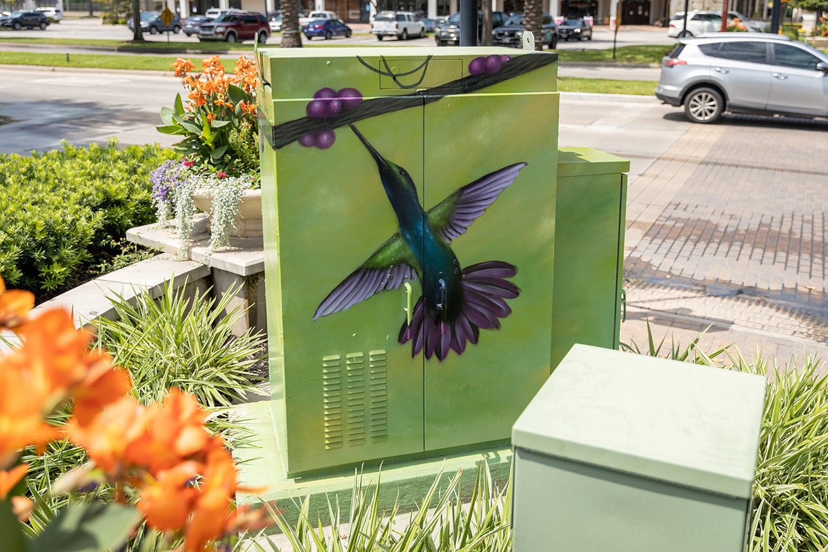 mkg_art's tweet photo. We love the bird mini murals by local artist @pilot_graff for today's #MuralMonday.
#mkgart #mkgartmanagement #minmuralshou #minimurals #publicart #streetart #houstonmurals #houstonmuralmap #houstonart #pilothtx #pilotfx https://t.co/3s5vYG297k