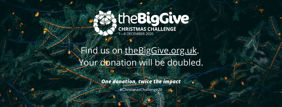 Save the date! 🔔

The <a href="/BigGive/">Big Give</a> Christmas Challenge will start on <a href="/GivingTuesday/">#GivingTuesday</a> -December 1st and continue for a whole week. 

If you choose to donate to Blesma via the Big Give on that week- your donations will be double, so £1 can do twice the good for our injured Veterans.