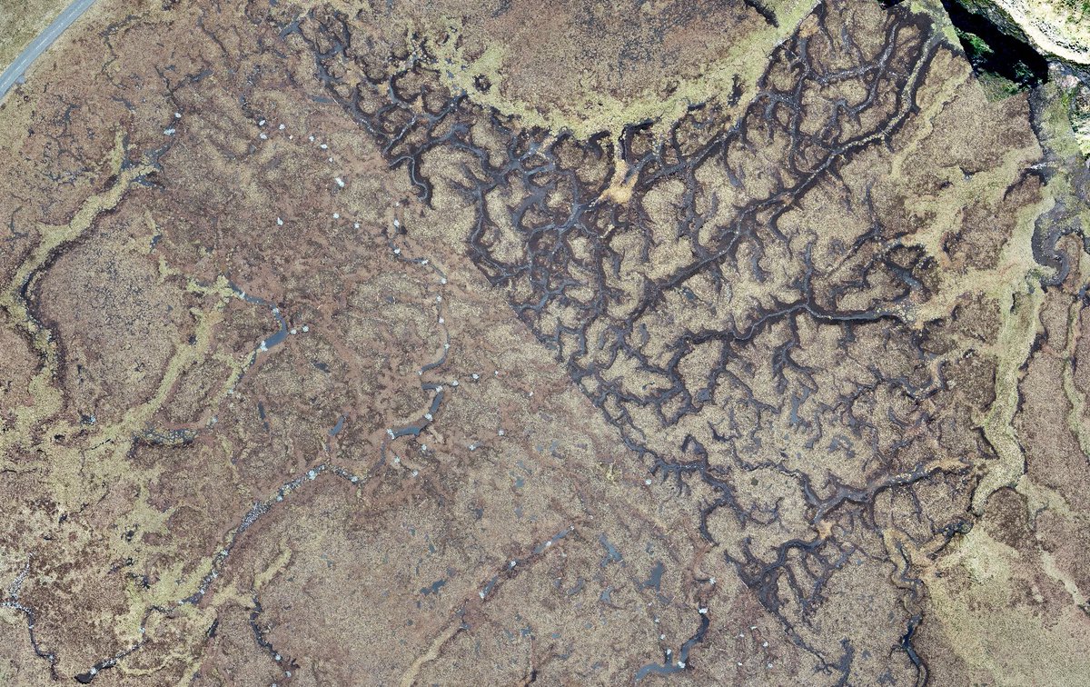 Climate Solutions Exchange Ltd tweet media