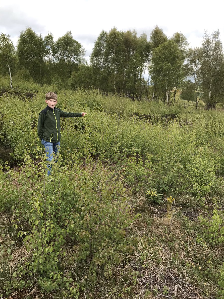 Climate Solutions Exchange Ltd tweet media