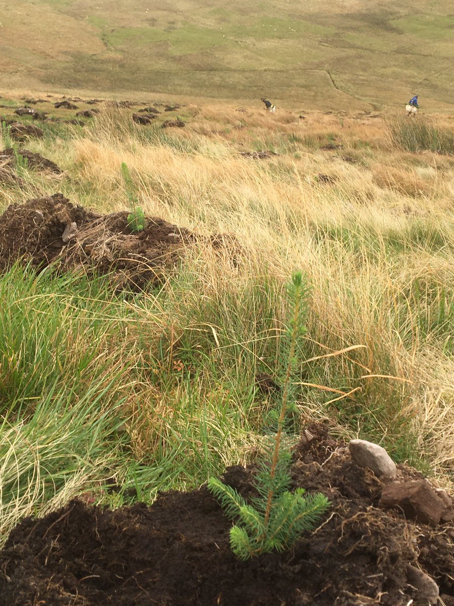 Climate Solutions Exchange Ltd tweet media