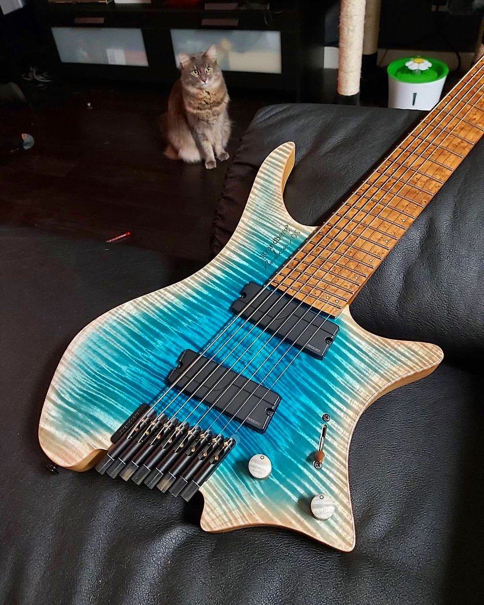 strandbergGuit's tweet photo. Incredible custom finish on IG @bretthafen ‘s Boden OS 8 by none other than the incredibly talented IG @spongebrick!
.
#strandbergguitars #strandberg #headlessguitars #boden #bodenos #8string #extendedrangeguitar #erg #customfinish #guitarporn #feelbettersoundbetter #goheadless https://t.co/MNO6owj9BA