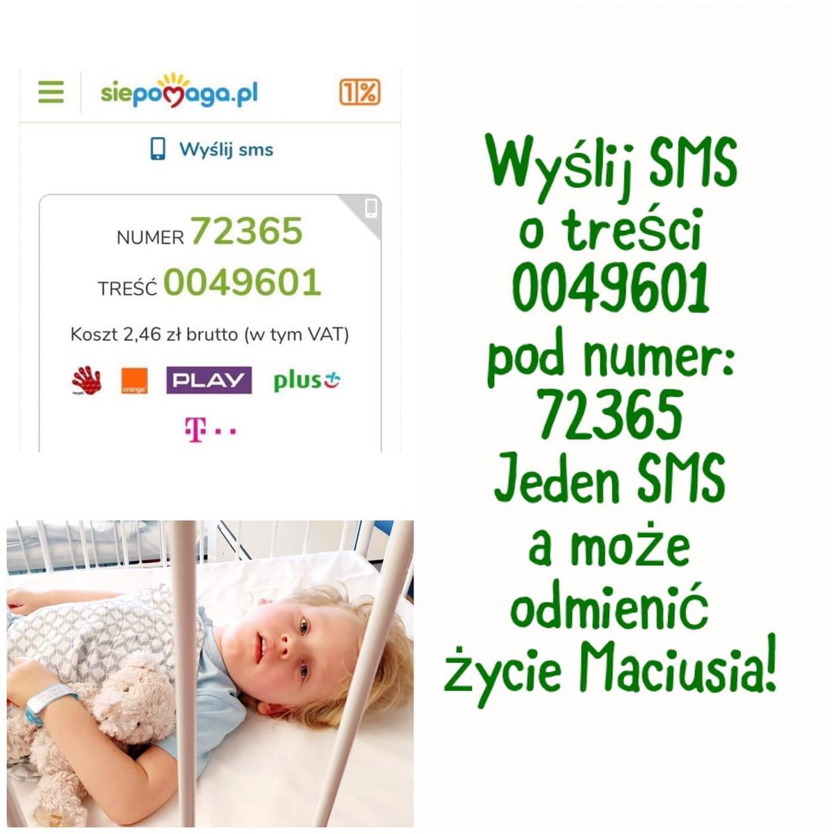 BohaterM's tweet photo. 💚💚💚KOCHANI wysyłamy SMSy!!! 💚💚💚 
Walczymy o Maciusia!

SMS MOCY dla Maciusia⬇️
TREŚĆ: 0049601
NUMER: 72365

Link do zbiórki⬇️
https://t.co/0xRyfiNx4v
#zostanbohateremmaciusia
#wartowierzyć 
#pomaganiejestfajne
#podajdalej 
#payitforward 
@DSzawala @siepomaga @DzisPomagam https://t.co/A07pQ3gwxL