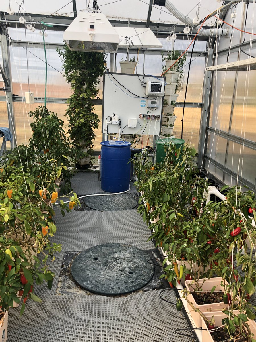 FhsGreen's tweet photo. Green Team visited @nodirtfarms today to learn all about this local hydroponic farm. It was an amazing experience, check out https://t.co/0YP38VQDP9 for her products! https://t.co/SIulTmyAZW