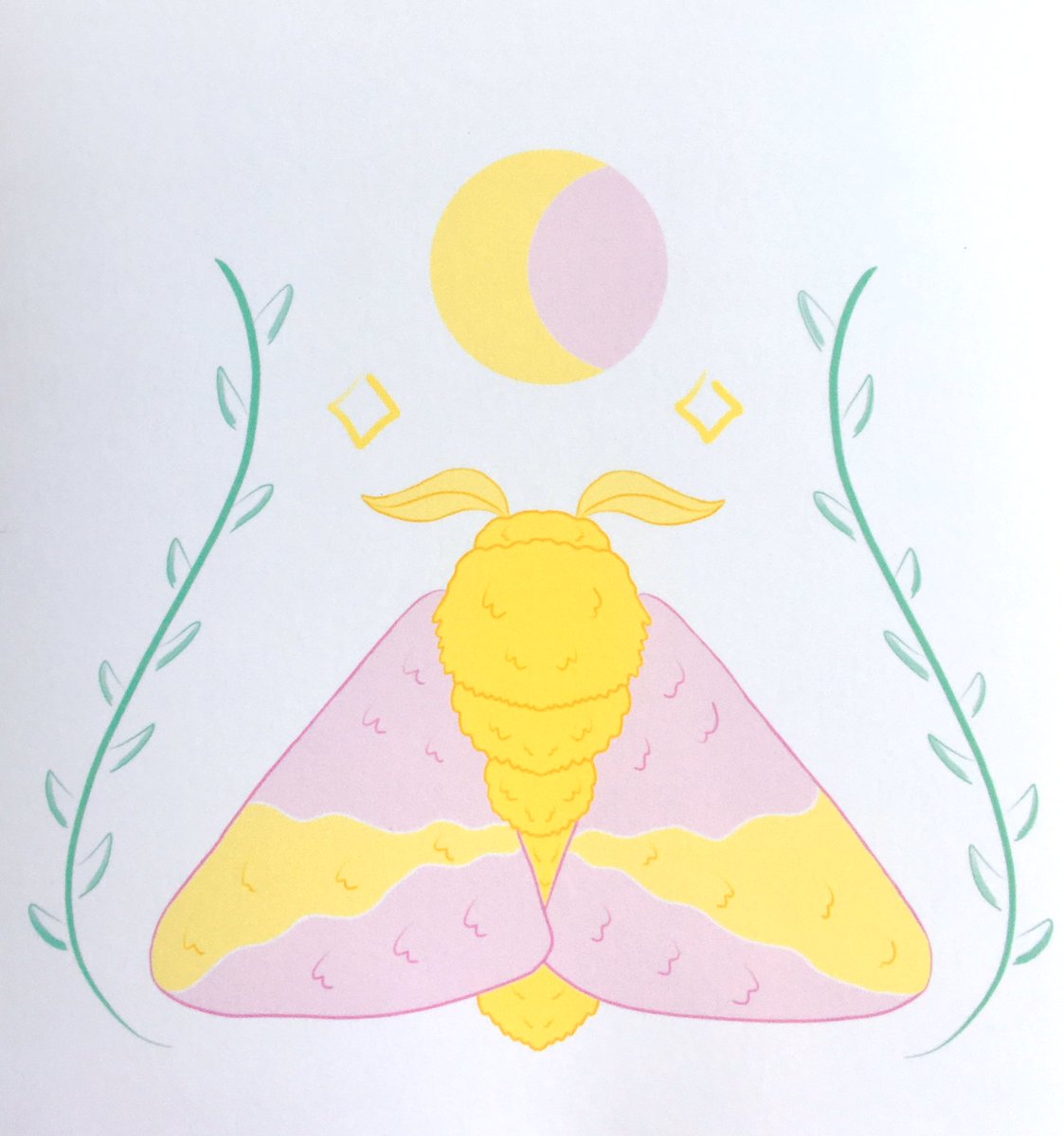 entoghoul's tweet photo. Some prints that are in stock on my site!! 🦋

Only a few of each available!!, 🦋

Shop link in bio 🦋 https://t.co/yTd6WoYFcz