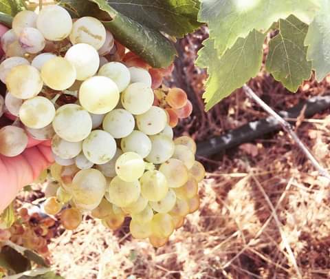 <a href="/purpuracocaes1/"><a href="/purpuracocaes/">#Colombia</a></a> <a href="/purpurasoloamor/">Solo Amor</a> <a href="/Salam81485347/">Salam</a> <a href="/TuTulsa/">tulsa</a> <a href="/MartaAvendao/">Marta Avendaño 🍃🌸</a> <a href="/Wwwahme18651650/">Ah🗨m🗨ed</a> <a href="/marinavibu609g/">🌻MARINA🌻</a> @tadayokun <a href="/NewWillage/">Татьяна Гуменюк</a> <a href="/Chief_Pilot_/">Сергей Борисенко 🇷🇺</a> @purpuracocaes <a href="/SergioA60798547/">Sergio</a> <a href="/Chandra1Vinod/">Jessica</a> @LnVdOB <a href="/Fa7CISxsfxjdyeo/">Евгений Дубов</a> <a href="/marina19619/">Marina</a> <a href="/r95731/">💓 s a R a v 💓 🇮🇳मेरा भारत महान🇮🇳 🥰100 K+🥰</a> <a href="/MARIALUISAMAR5/">MARIA LUISA</a> <a href="/marinagarzon5/">marina Garzon</a> <a href="/sushilpershad/">sushil ??</a> <a href="/PetalsTm/">Randi #PetalsTm/admn for PetalTeams</a> <a href="/DrNikolova_Rumi/">Rumiana Nikolova ®️💗</a> <a href="/jet_new/">ⓙⓝ ʝɛt_ռɛա</a> <a href="/shaker_michel/">☘️❣️ℳ. ЅℋᎯᏦℰℛ 💞🦋🌷🎠</a> <a href="/MVereshchagin/">Michael Vereshchagin</a> <a href="/LupitaCampos13/">Lupita Campos</a> <a href="/malbapalo7/">🚫DM🚫</a> <a href="/mainzina/">Elizabeth</a> <a href="/EdCruz38273764/">Ed Cruz🏹 Máfia da Verdade 🏹</a> <a href="/sadino22/">martin_p</a> <a href="/denisbatist/">denis barbosa batist</a> <a href="/Cesuryorum/">Cüneyt Şaşmaz🇹🇷</a> <a href="/laiane020/">Laiane</a> <a href="/Loredana1237/">🇧🇷Loredana 🇧🇷 #AME💖</a> <a href="/leopoldolaragl/">Dr Leopoldo Lara</a> @Male_malefica <a href="/YNHallak/">Dr. Yaacoub Hallak</a> <a href="/Silviadomi22G/">♕Lady in Red ❤</a> <a href="/henrirousseau12/">Henri Rousseau Lemery</a> <a href="/FritzWilhelm6/">🅰🅽🅳🆁🅴🅰🆂 🅻🅴🆄 and 🅹🅴 🅰 🅽 🅻🆄🅲🇩🇪</a> <a href="/glenton123/">Mark Glenton/ Mindfrontiers🤵🧐</a> <a href="/Genn_Scog/">Genn</a> <a href="/WALLI27/">Jhon f perez🎶🎸🚵☯</a> <a href="/ranasilvia63/">Luna OM</a> @Negrashow <a href="/swydersk/">Deb #TmPetaL🌹#Resist💙 #NeverTrump Enjoy the ride</a> <a href="/lumpie125/">lumpie125</a> <a href="/monicasloves/">Monica Cates</a> <a href="/MaJaVi_/">♠️🎰҉M҉A҉R҉C҉E҉L҉O҉ ҉</a> ✌