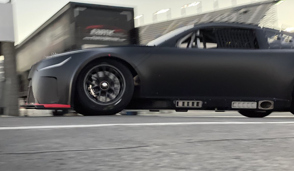 Yes. I laid on the ground from a safe distance to get these pictures.