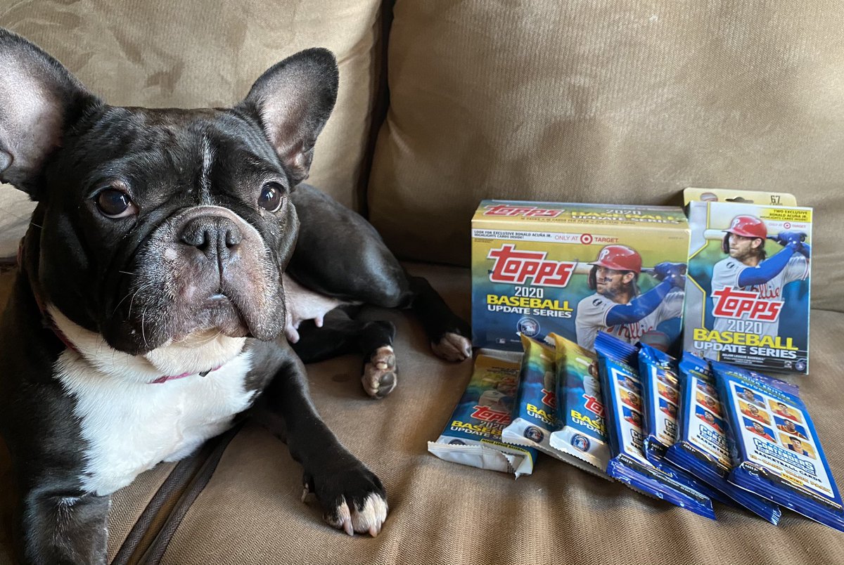 21137Anais's tweet photo. Yaaaaas! 🙌🏻 Ran to Target for 🍻 & found treasure! MEGA BOX😳Plus hanger and fat packs! ☘️Fun night 🥳Coco agrees 🙃
#whodoyoucollect #thehobby #collecting #sportscards #insert #hits #rookiecards #rc #mlb #nba #baseballcards #topps #2020topps #toppsupdate #2020toppsupdate https://t.co/oltvh8mB2v