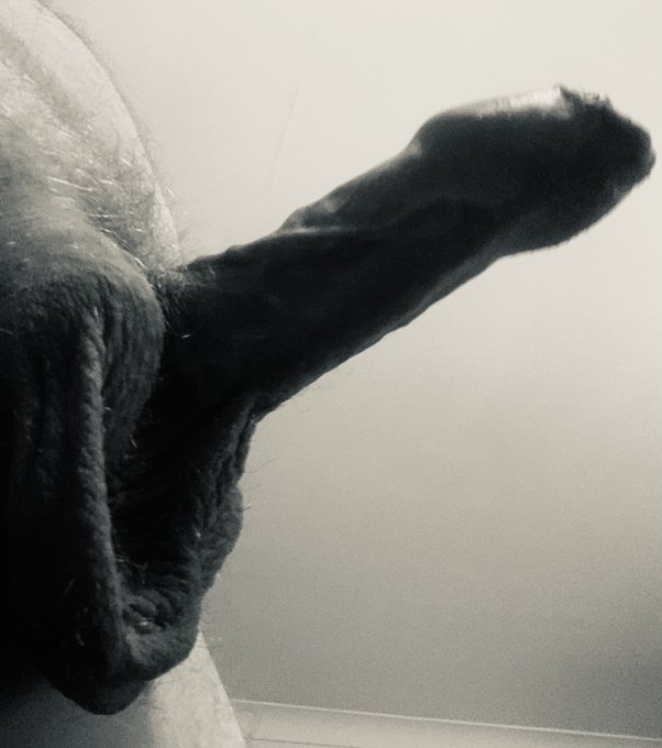 #horn #horn #horn https://t.co/zYyTnCcAoY<a href="/tag/horn"class="tags">#horn</a><a href="/tag/horn"class="tags">#horn</a><a href="/tag/horn"class="tags">#horn</a>