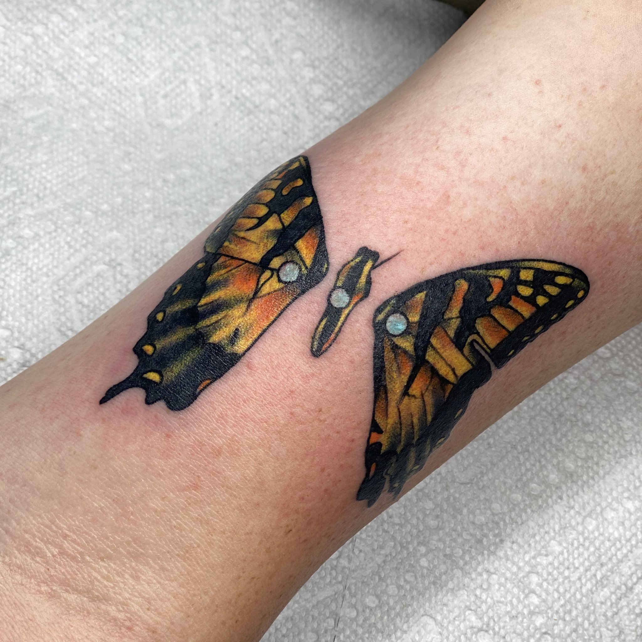 Foxey ☽ on X: Got to tattoo Paramore's brand new eyes album butterfly  🦋🦋🦋 🥺  / X