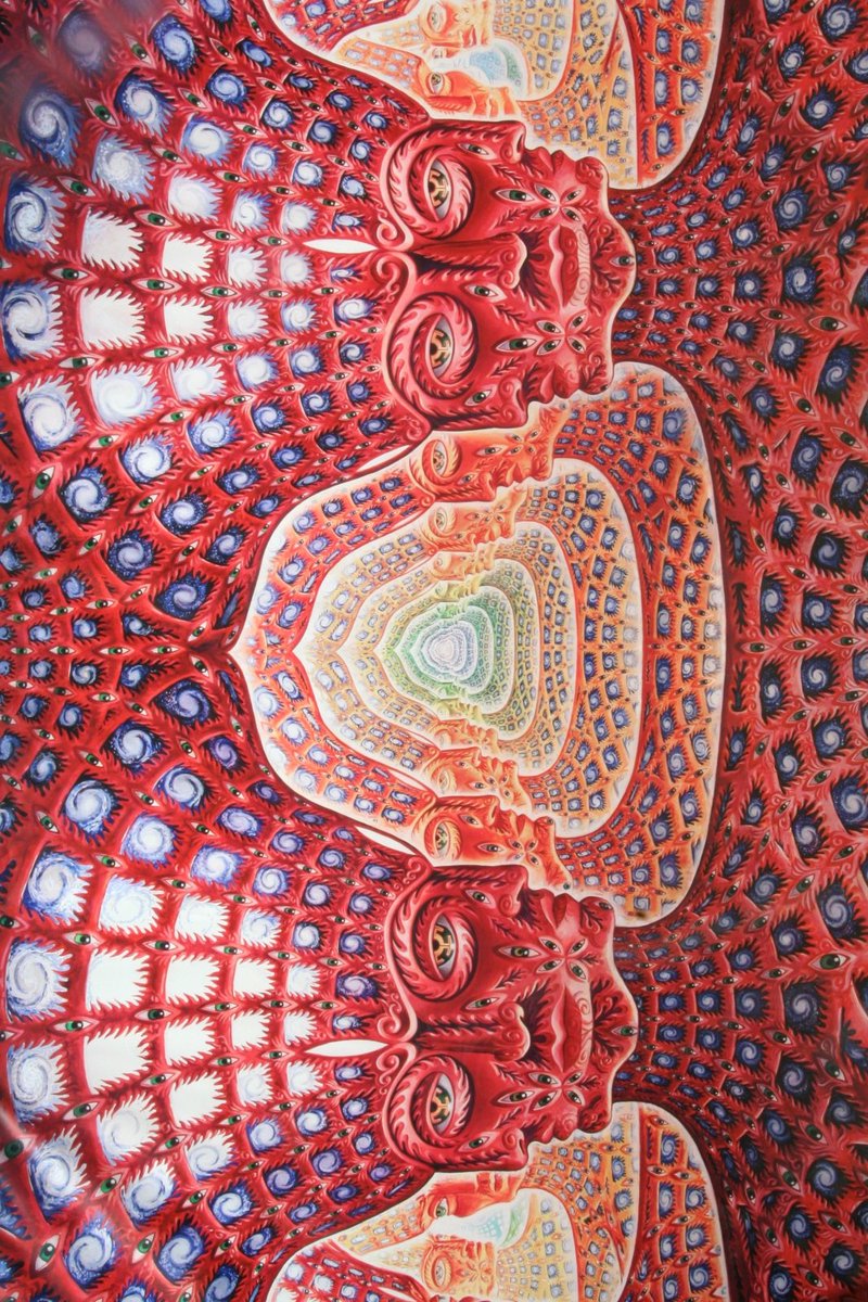 But back to my point. Do you know who Alex Grey is? He's a psychedelic painter. Apparently he receives visions even in the middle of the night & when he's done painting it this is one of his most famous paintings. I mean c'mon!