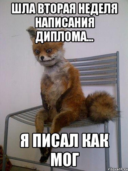 Настроение постить мемчики про написание диплома