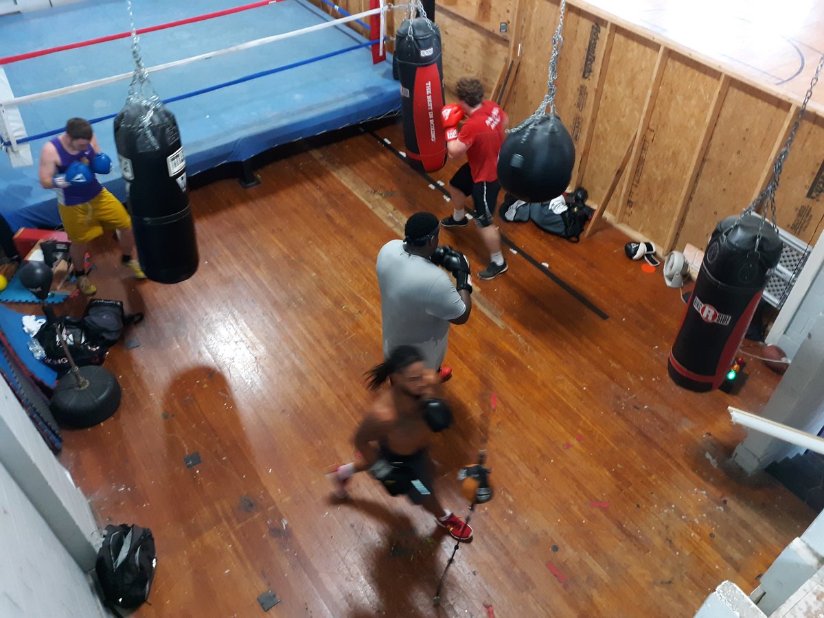 Cody Gobbell (Boxing) (@athleticsgloves) on Twitter photo 