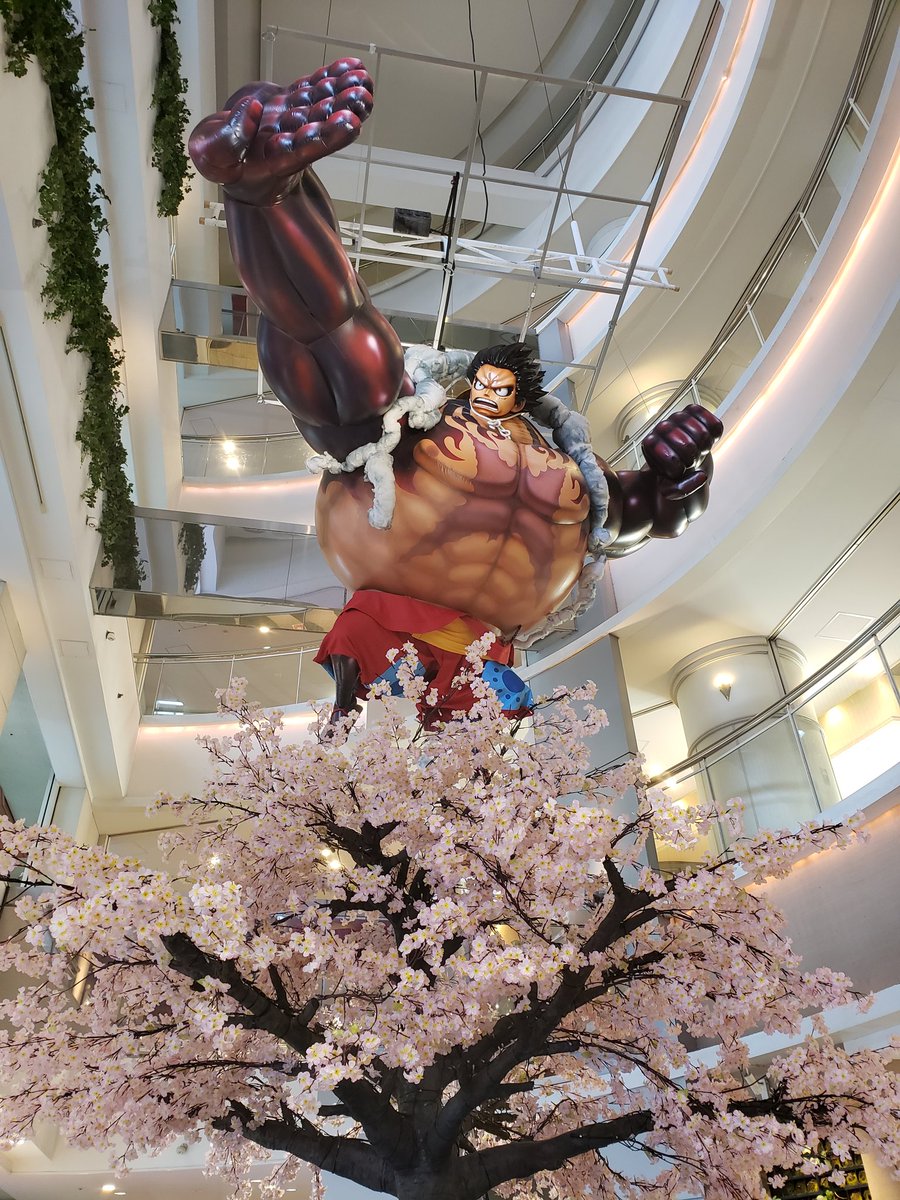 ƨhoji One Piece Water Spectacle3 ワンピースウォータースペクタクル3 ワノ国編 見てみたい 行けるかなー 福岡県 キャナルシティ博多 Onepiece Onepiecewaterspectacle3 ワンピース キャナルアクアパノラマ サンプラザステージ ƨhoji One Piece Water Spectacle3 ワンピースウォータースペクタクル3 ワノ国編 見てみたい 行けるかなー 福岡県 キャナルシティ博多 Onepiece Onepiecewaterspectacle3 ワンピース キャナルアクアパノラマ サンプラザステージ