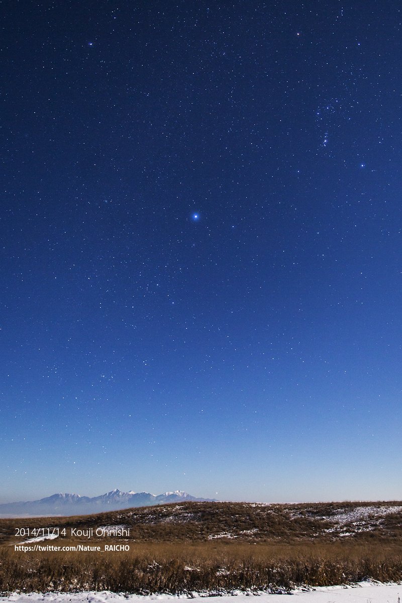 Kouji Ohnishi 大西浩次 On Twitter 今日の星景写真 2020年11月17日 カノープス 霧ヶ峰高原 撮影日時 2013 11 16 全天で一番明るい恒星シリウスから南に目を向けると 水平線上にカノープスが見つかる 全天で2番目に明るい星だ 長野県内では 山の上などで