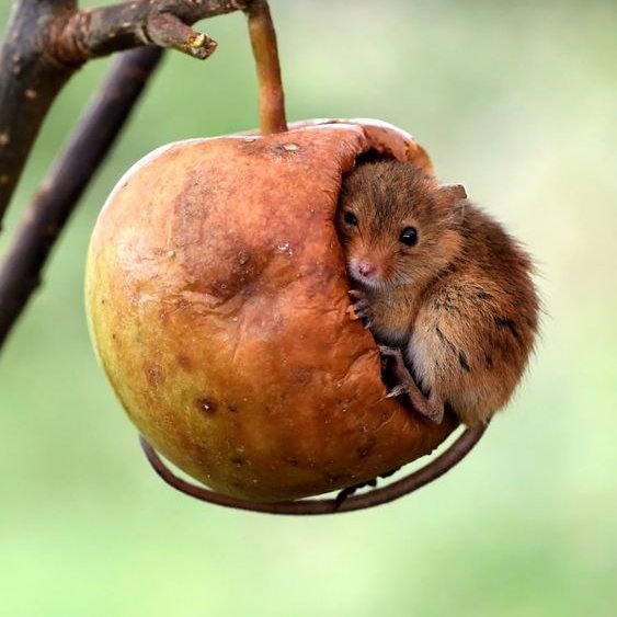 A tessitura da Vida me maravilha e espanta,
o padrão que salta aos olhos é magnífico,
e, eu nela me acho tão Mais que se estivesse avulso.
A Alma desse tecido é Deus,
e em Deus a sua beleza!
Onaldo
