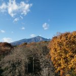 ツイートに含まれる画像