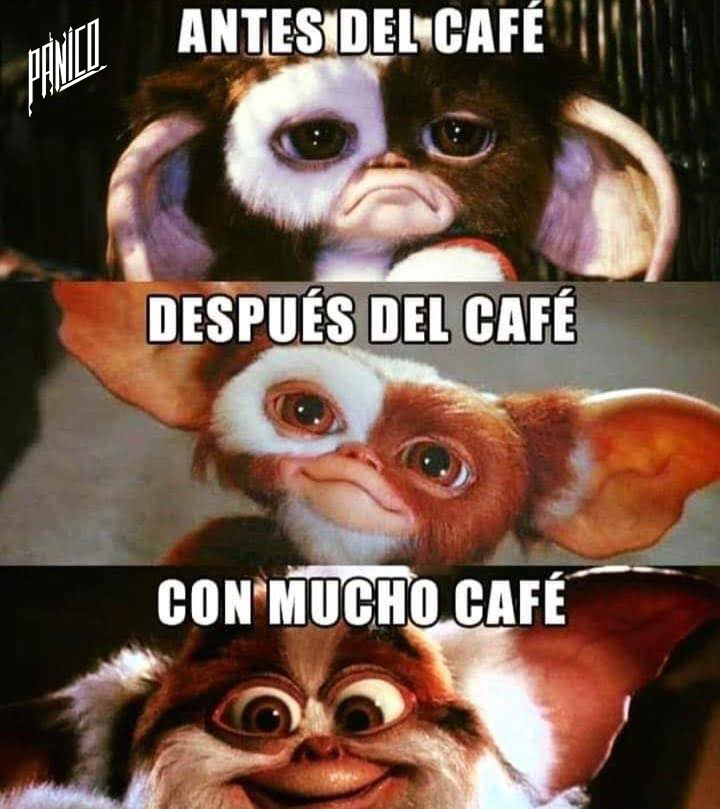 Panico En Twitter Un Clasico De Los Viernes En La Manana Bueno De Todos Los Dias Y Casi A Todas Horas Para Ser Productivo Panico Miedo Terror Horror Gremlins Horrorfan Horrormovie Gizmo