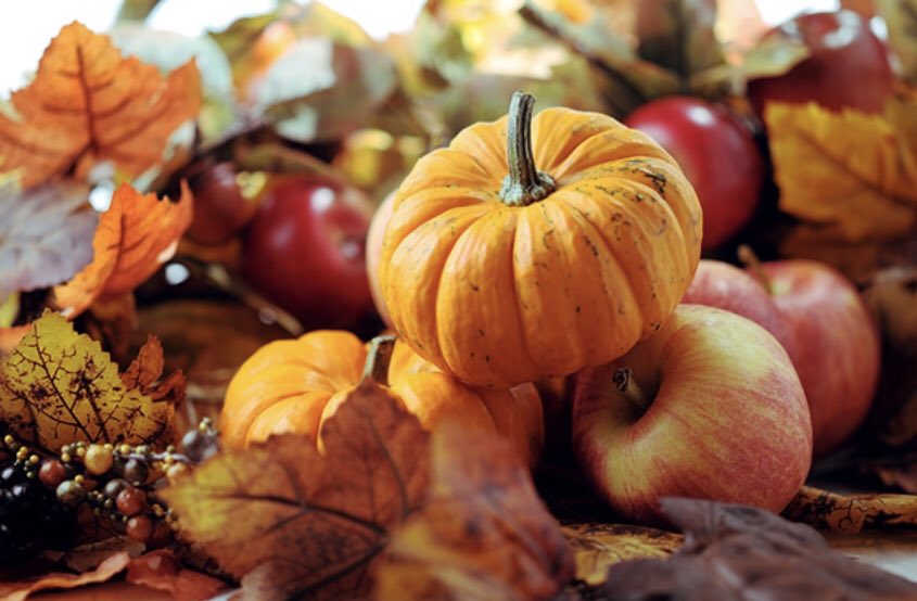 HawkKnob's tweet photo. Having trouble deciding on what wine to pair with your Thanksgiving menu this year? 
#Pickcider instead! https://t.co/pJJVJxWtF0