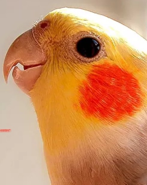 Paulo Da Cruz Lucchesi (@pclucchesi) on Twitter photo 