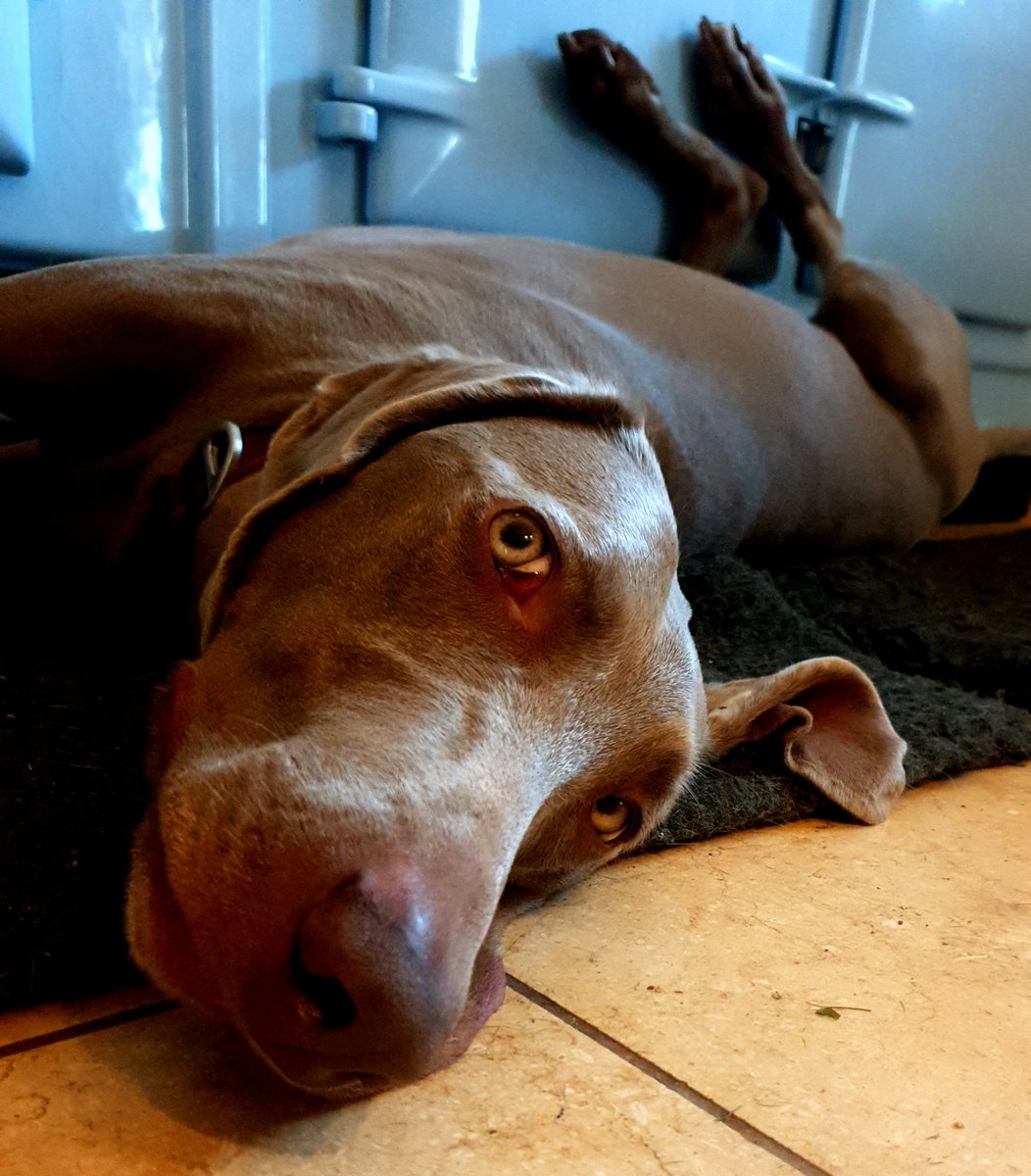 Dear <a href="/BorisJohnson/">Boris Johnson</a> please stop UKGovs posturing. Get the deal agreed that you promised was oven ready. You will prove that you (&amp; the UK) cannot be trusted if UKGov now changes law on the WA. A no deal exit will hurt families, business, and markets. Please please sort this week!