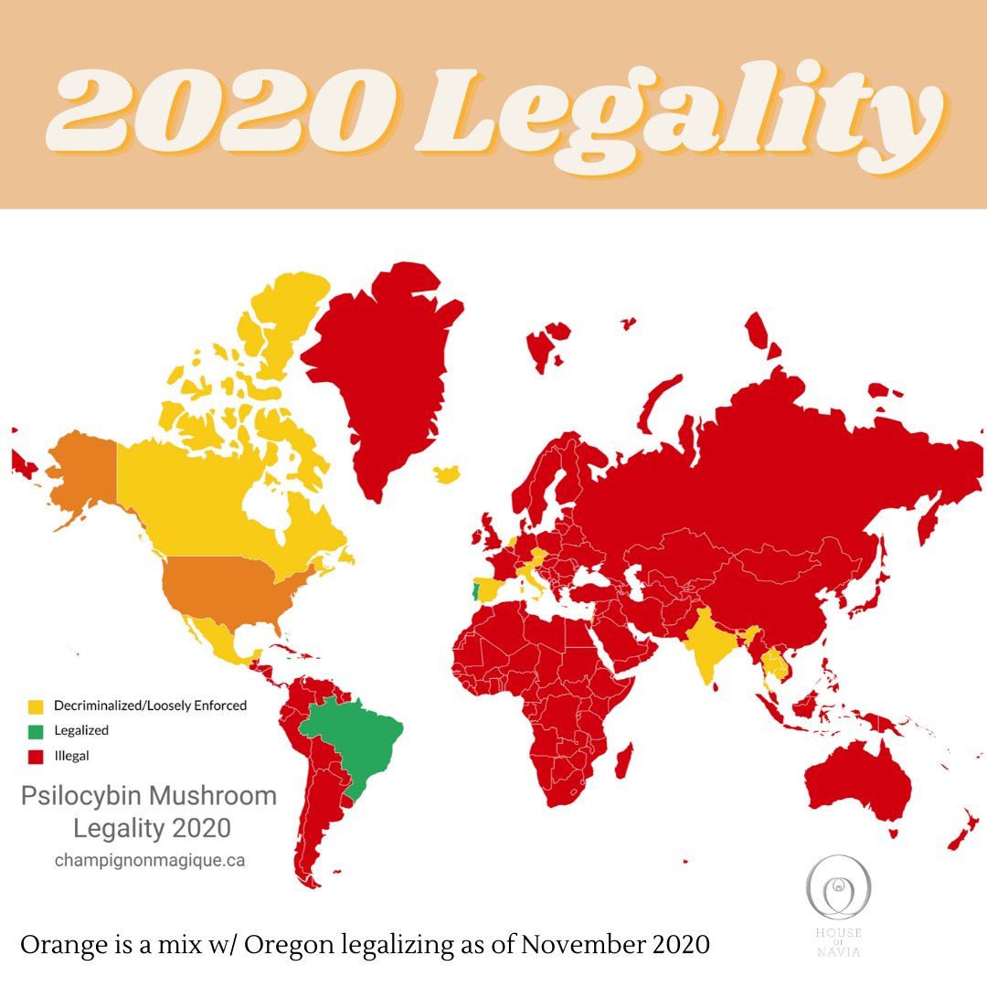 2020 Legality of Psilocybin Mushrooms in one picture.