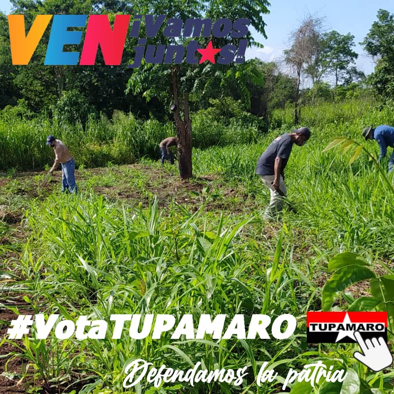 Solo el poder popular organizado puede vencer el bloqueo criminal al que hemos sido sometidos, debemos hacer ejercicio de nuestro derecho y votar este #6Dic
#LosRebeldesSomosMas
#VotaTupamaro
