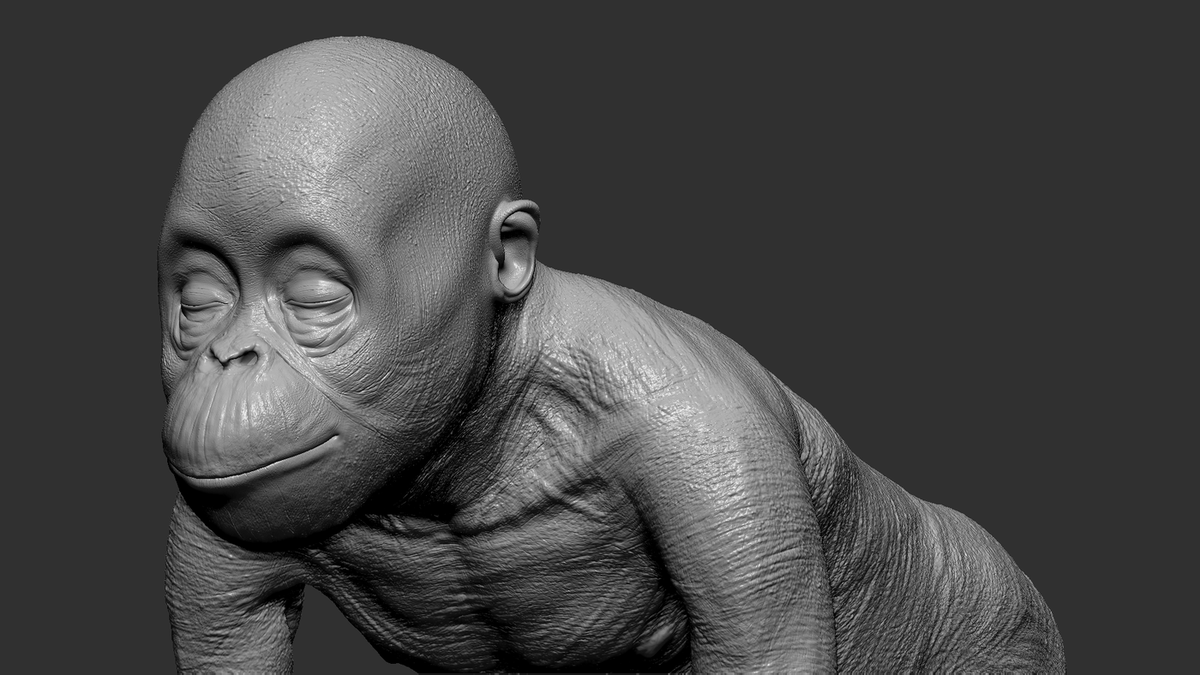 TheRookiesCO's tweet photo. Member Level: ROOKIE - Boro-the Orangutan by Preetham Raj R from @Gnomon_School of Visual Effects - https://t.co/dDT00giVjJ
#AutodeskMaya #Zbrush #FoundryMARI #vray #Nukex #Speedtree #xgencore #vraynext #3d #3dart #3dartist #artist #art #conceptart https://t.co/WaSeNN7riO