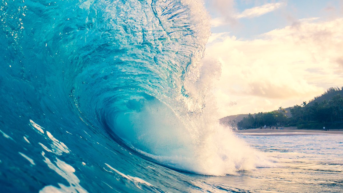 te_daki's tweet photo. Livin La Niña Loca!
@AquaTech_USA https://t.co/SlMtuIgQuf