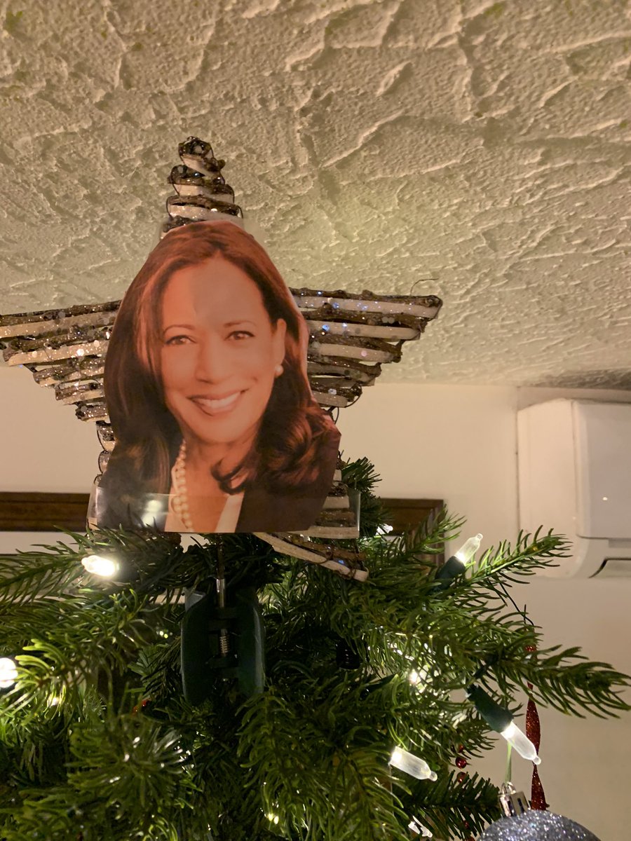 AussieMac0110's tweet photo. Combined our excitement of the new Vice President @KamalaHarris with a custom tree topper whilst keeping our tradition of hidden Xmas tree shots #thegiftthatkeepsongiving https://t.co/yaCbiixnfV