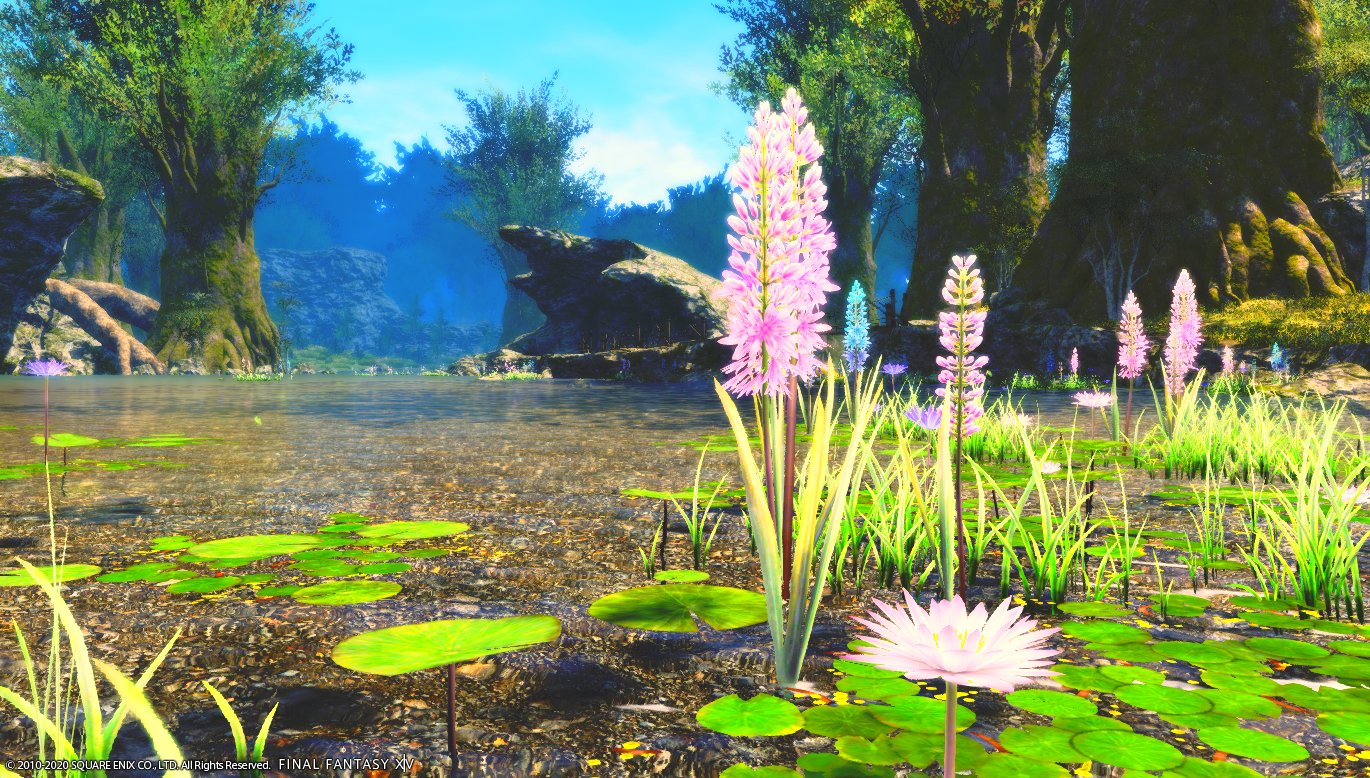 Syuka 水辺の花 Ff14 Ff14風景 T Co Ffodry125h Twitter