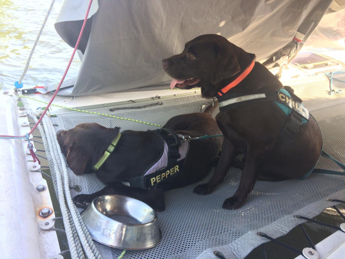 SpiceBoys12's tweet photo. We just love going sailing - we camped overnight and Pepper thought he should check on Mum every hour 🤣 https://t.co/YLSC8IqJMI