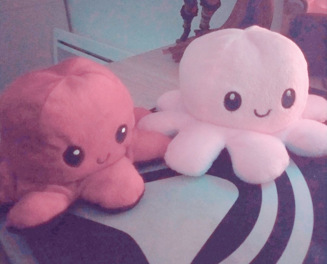 Chilnye_'s tweet photo. FOR MY BIRTHDAY DADDY MA OFFERED THE REVERSIBLE PINK PASTEL AND TURQUOISE PLUSH! I HAVE THE BEST DADDY IN THE WORLD 🥺🥺🥺🥺🥺💗🌸✨
#reversibleplush #octopus #plush #pinkpastel https://t.co/cRrHmofuZ3
