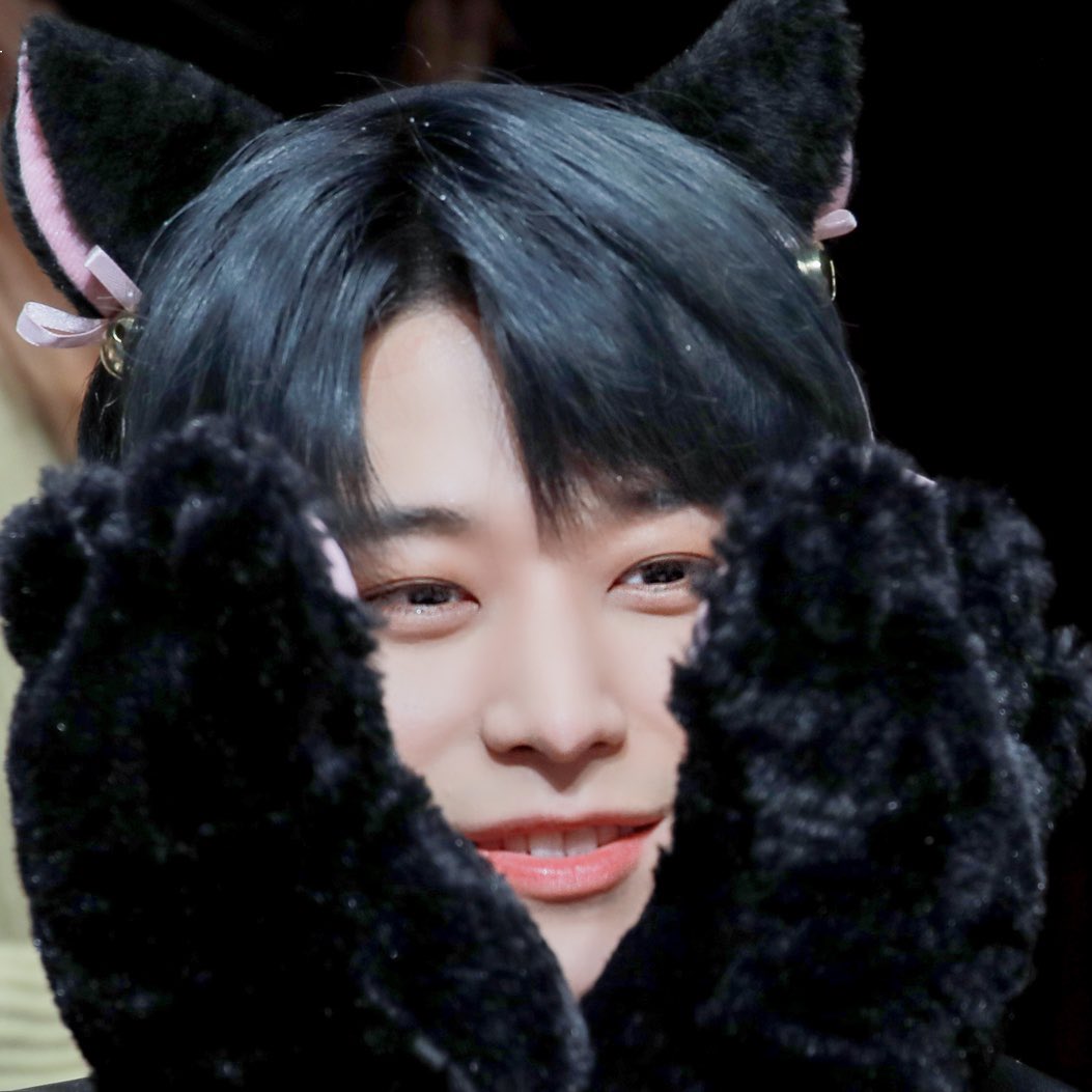 JUYEON CATBOYISMS - a thread by myself dr catjuyeon phd in cat juyeon