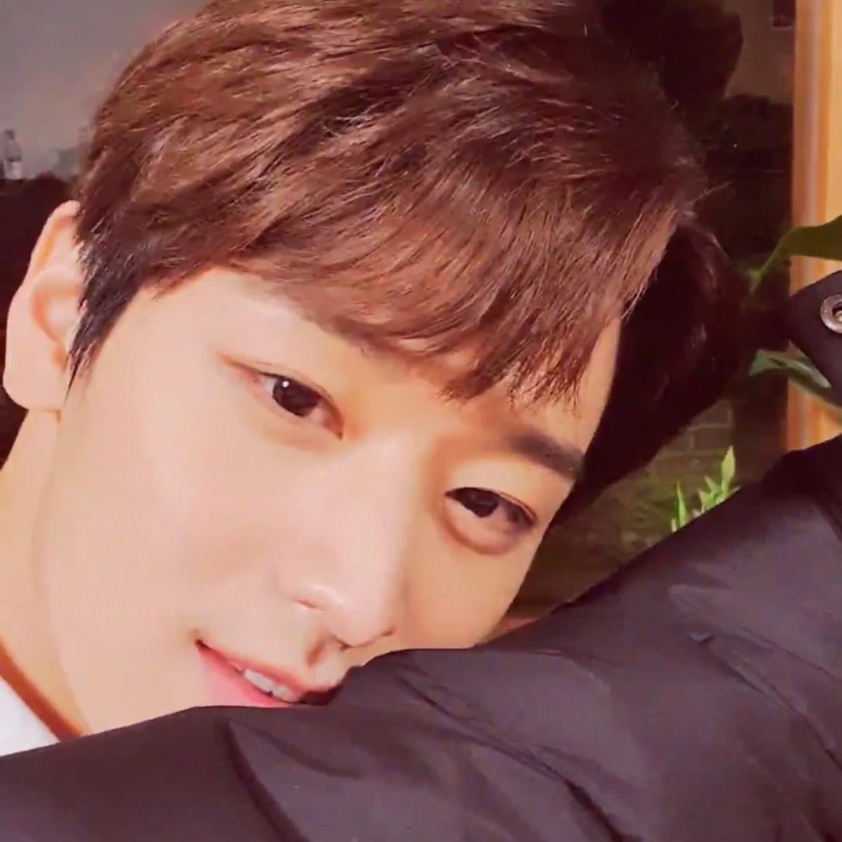 catboyism 2: subgenre of kitty eyes. kitty in the corner