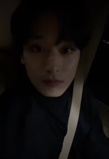 catboyism 8: cute neighborhood cat tries to be intimidating but he’s not intimidating