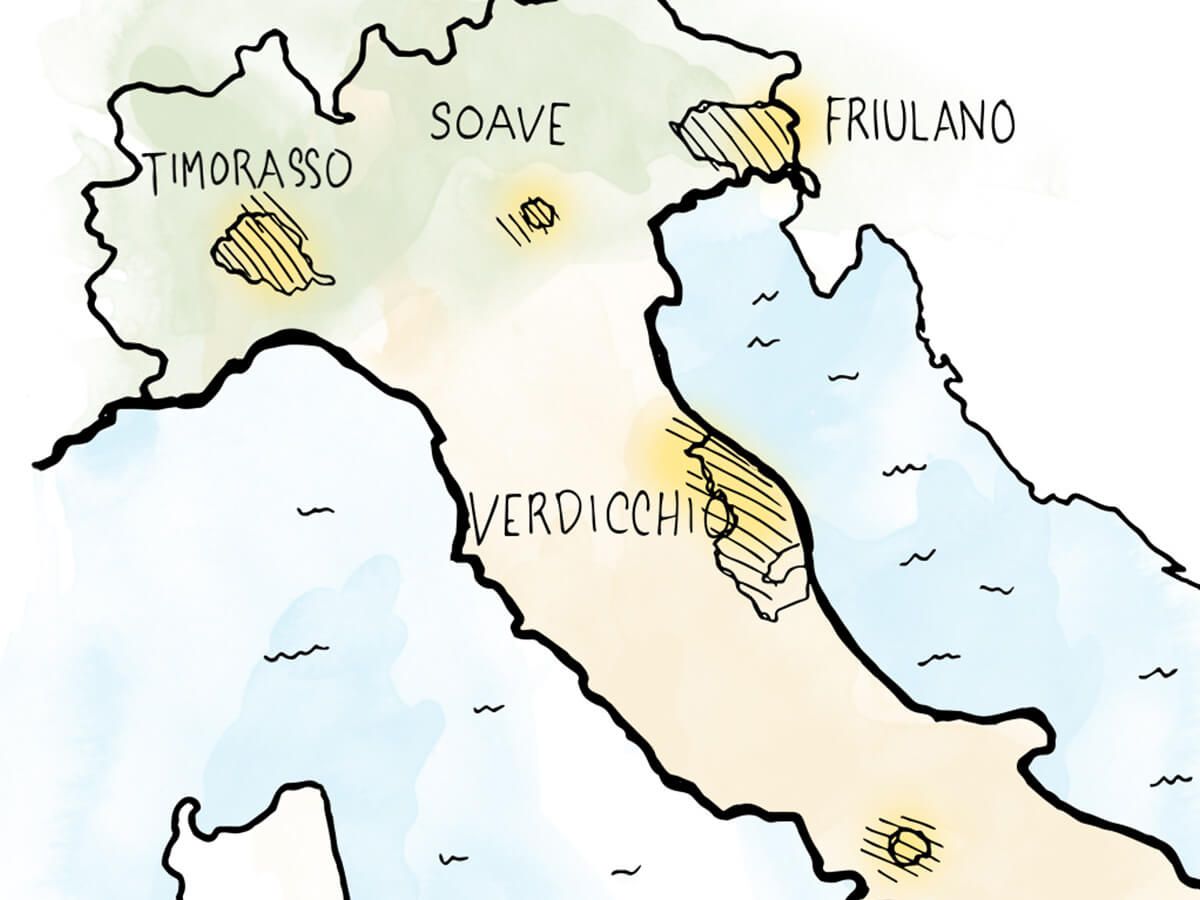 WineFolly's tweet photo. Italian white wine is super underrated: here are 6 of our favorites. https://t.co/juFRBhppeW https://t.co/UsUAtCofD6