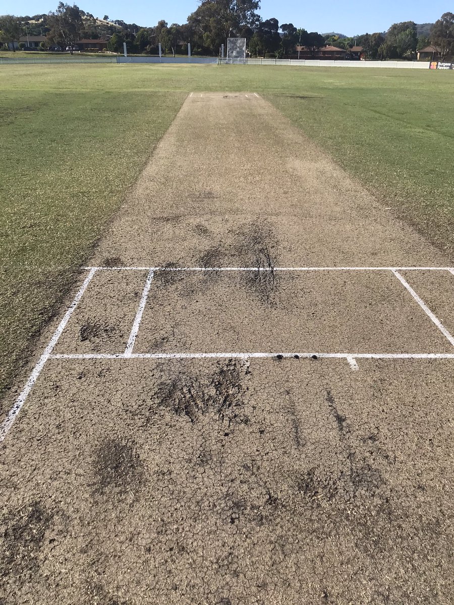 ANUCC's tweet photo. Game day!! T/20 Round 1 vs @tvccvikings #uptheowls https://t.co/QvWNZdfF2J