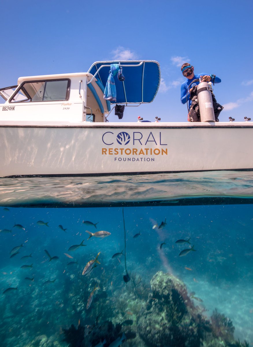 coralcrf's tweet photo. Is the ocean half full, or half empty? #halffull #oceanoptimism  #coralrestorationfoundation #restore2020 #reefrestoration https://t.co/ZXOkyhJRPq