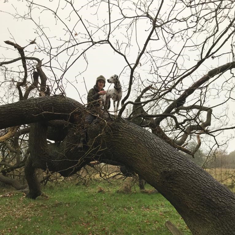 Miniclick_'s tweet photo. #corathedalmatian spotted some more vintage stuff on todays walk and shared some moments with me

#vintagetractor #buckeleyhill #peckfortonhills #milkchurns #masseyferguson #treeclimb #sharingamoment #dalmatian #ilovemydog #rustbucket #walkies #dogs #doglovers https://t.co/aauJQhHV0a