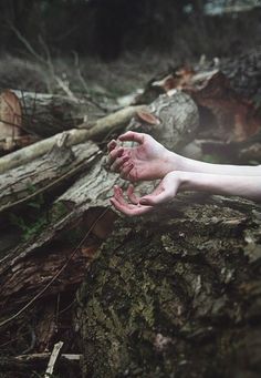 leneshultz's tweet photo. Love nature 💚🌿🙏 https://t.co/x04rhqGtr9