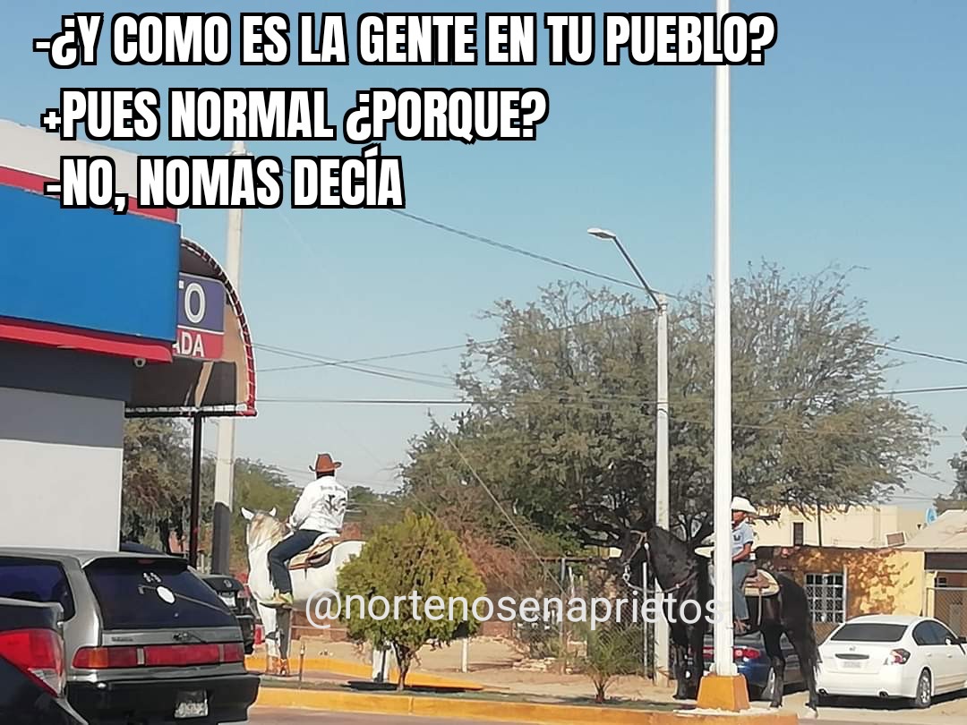 NAprietos's tweet photo. Pasemos por la caguama en el cuacoservicio 🐎 https://t.co/9LoIO4EWqY