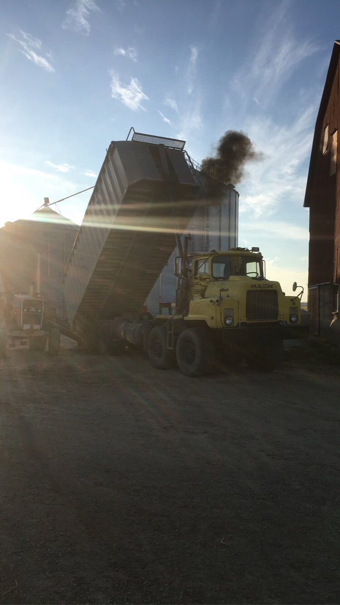 VanhieBobby's tweet photo. Another beauty day for 🌽harvest the end is in sight https://t.co/R7Pr4luaQW