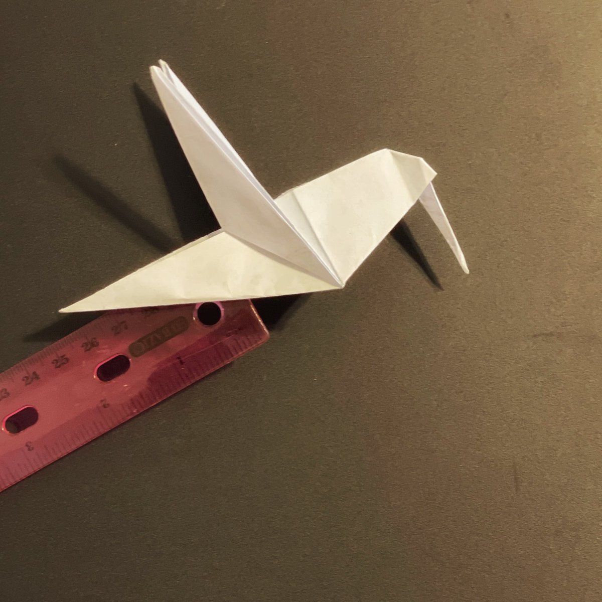 AF Chong, MD tweet media