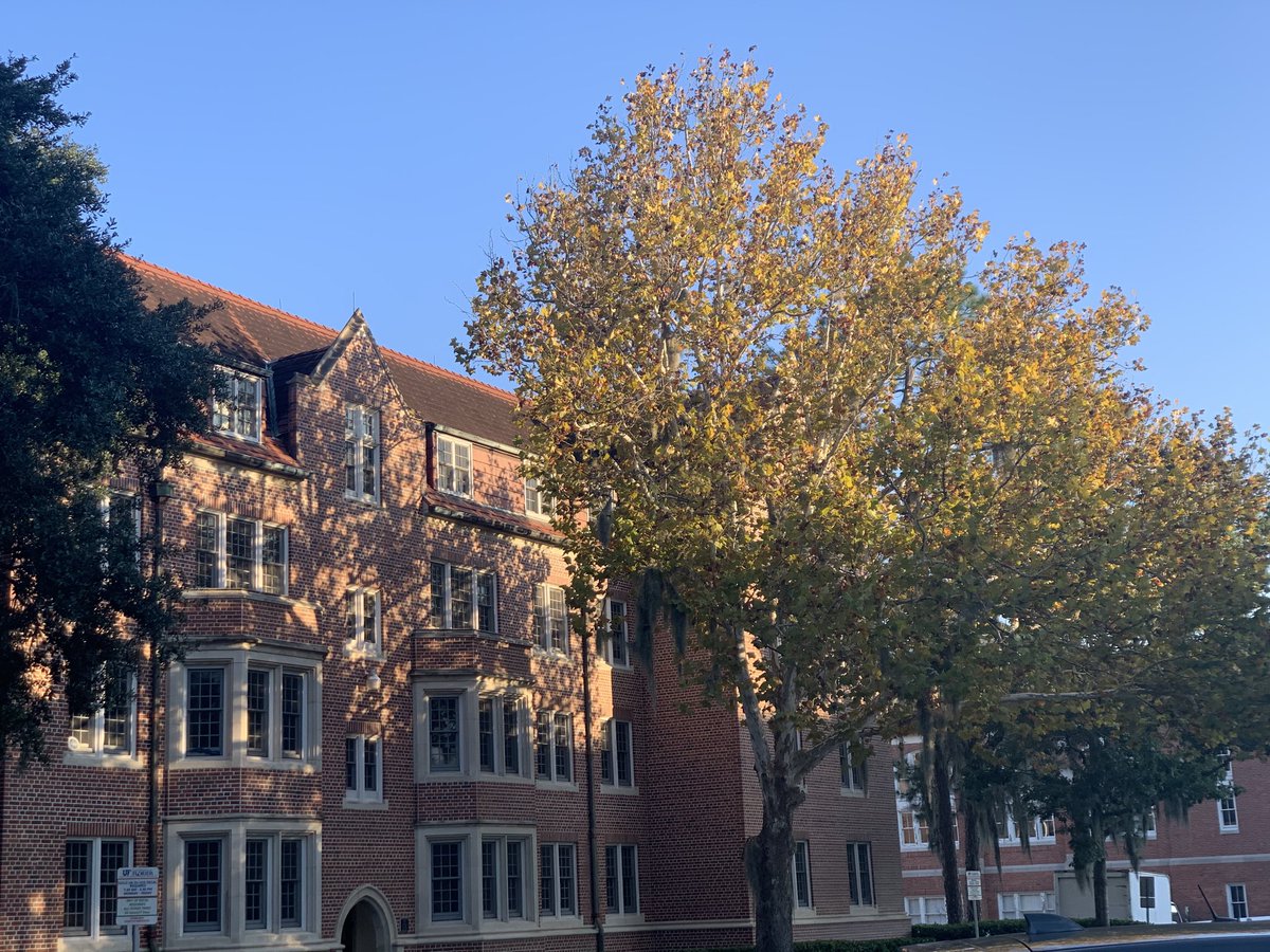 GatorsScott's tweet photo. Looking more like fall as winter nears ... #UF ... #Florida https://t.co/6ulK2wCliI