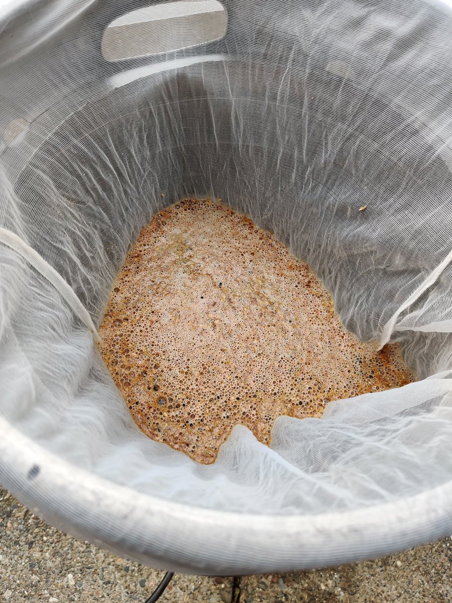 homebrewprof's tweet photo. For the first time in way too long, @HomeBrewProf actually brewed a beer! IPA coming in a couple of weeks! #LotsOfHops #TapsBePatient https://t.co/FGQsZldIOs