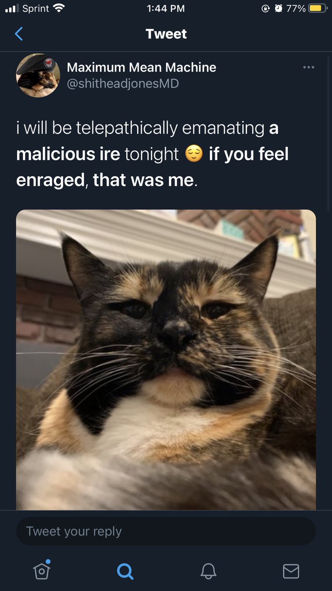 I will now be making a thread of my favorite tweets of all time.p.s. they are literally all from  @shitheadjonesMD and  @gayIuIu amen