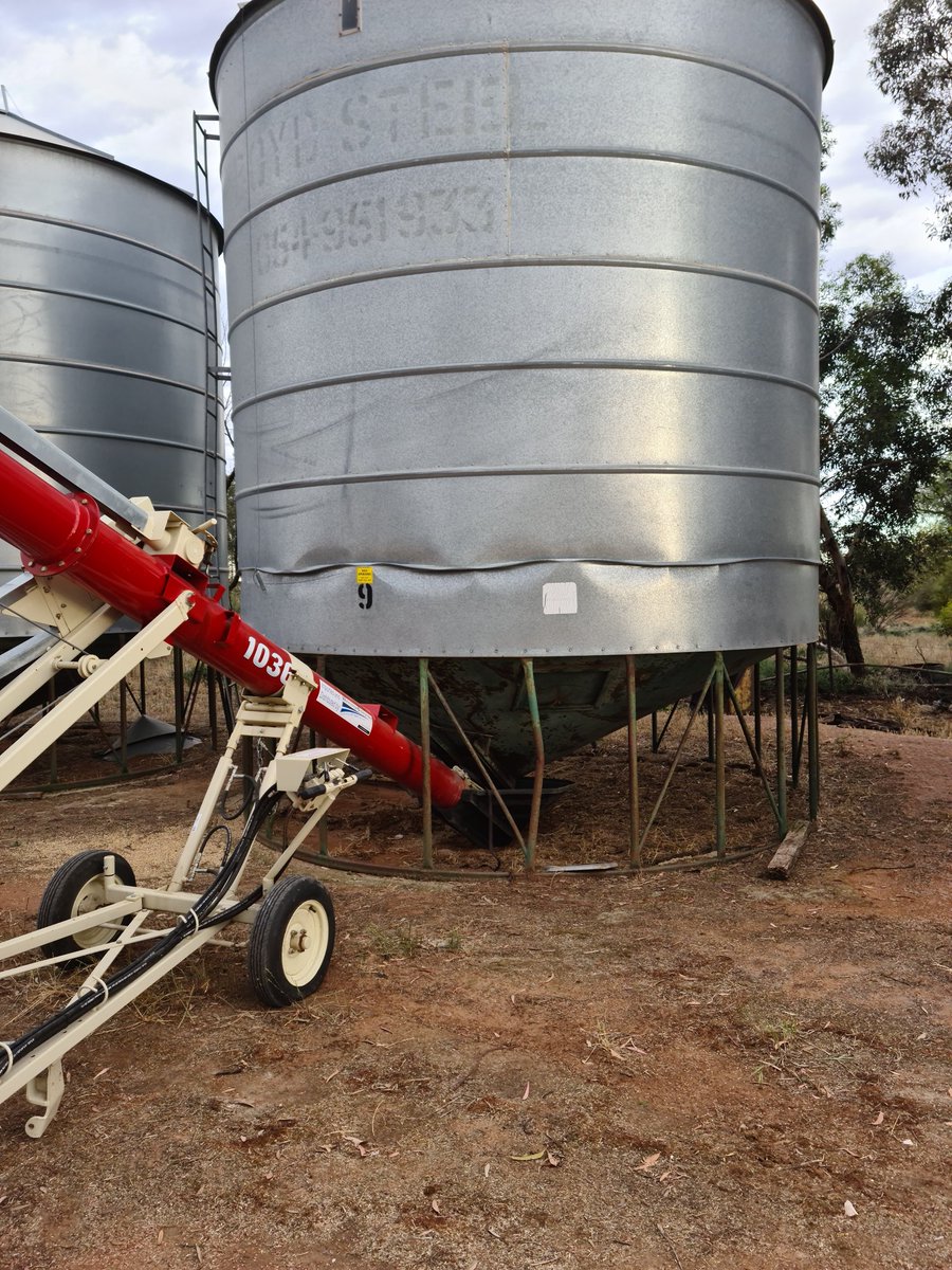 Lentils wrinkled my silo.